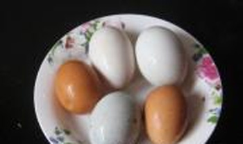 Trứng tam sắc hấp lạ miệng đẹp mắt, Ẩm thực, am thuc, trung ran, trung hap, mon ngon, mon ngon de lam, bao